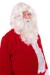 classic white Santa beard with wig - in profile