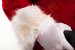 Super deluxe fleece Santa suit with jacket - full set (13 parts plus 4 accessories)